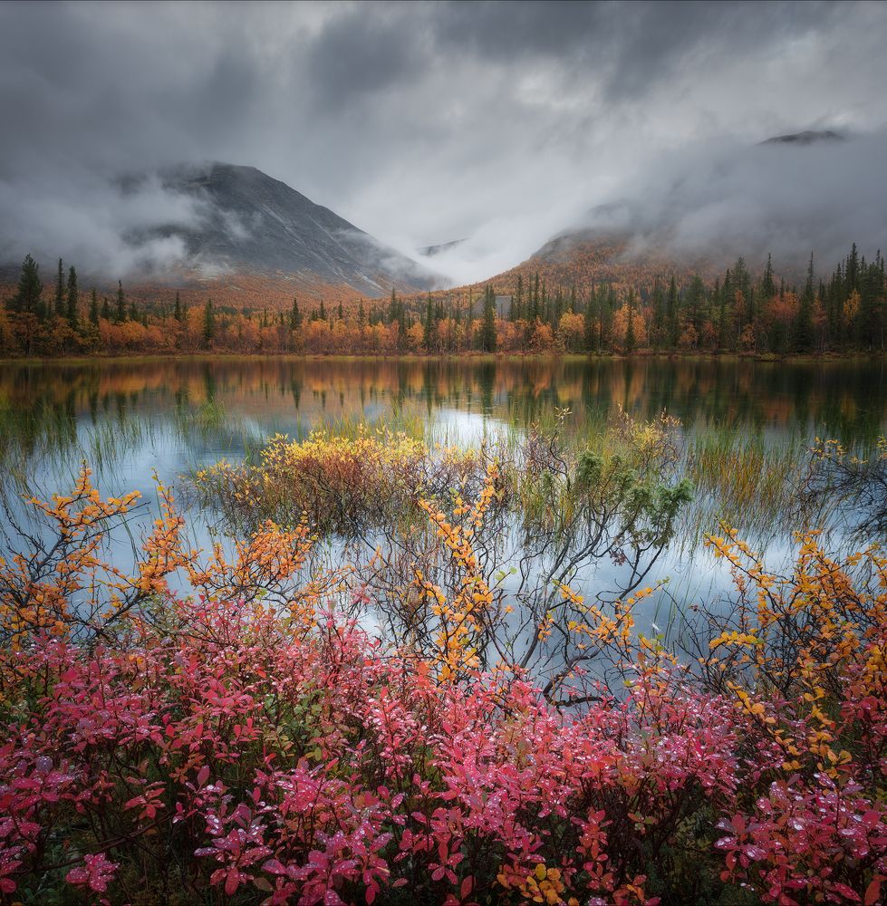 Photograph by Екатерина Сысоева