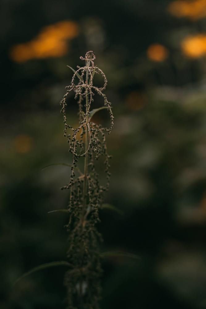 Фотография автора Дарья Шевченко