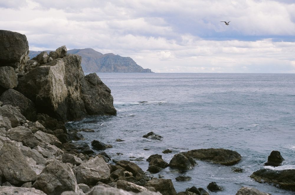 Photograph by Василий Селиванов