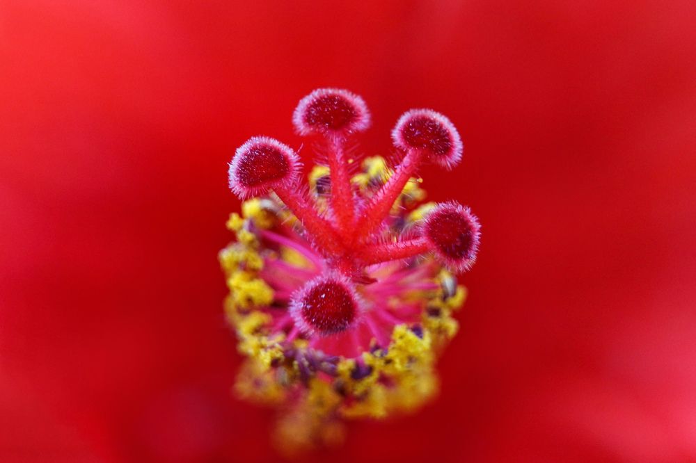 Photograph by Shahariar Alam