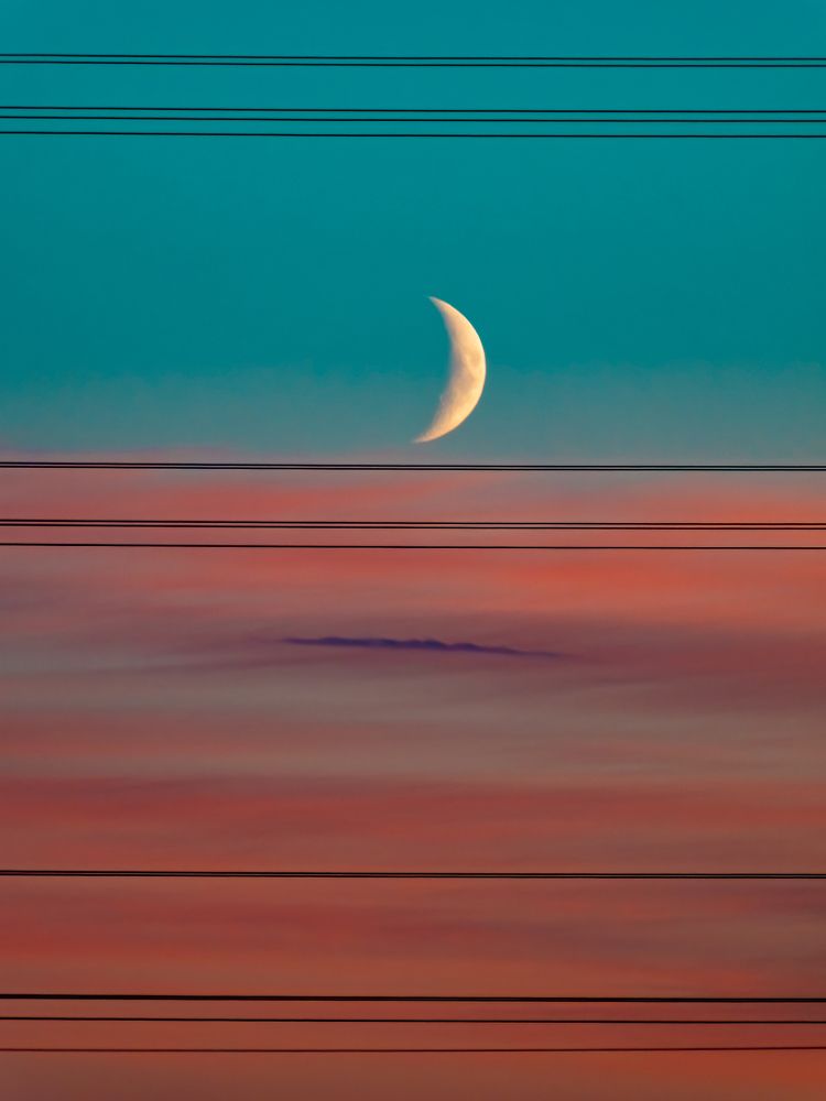 Фотография автора Вадим Демченко