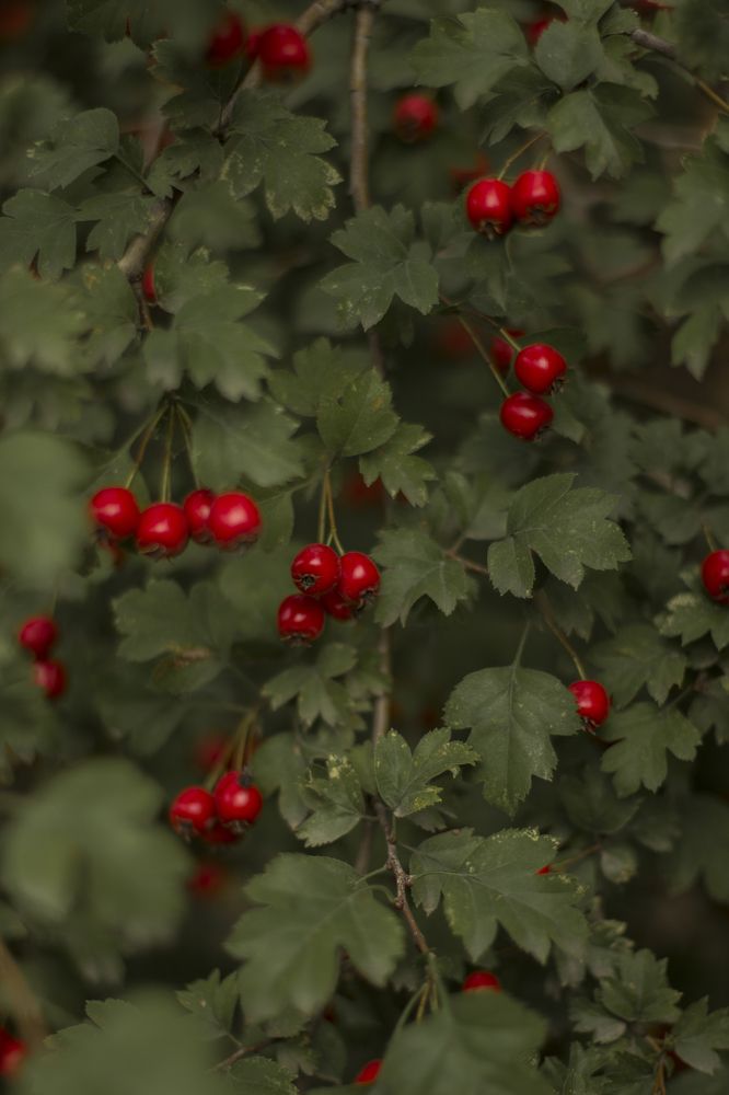 Photograph by Ольга Никишина