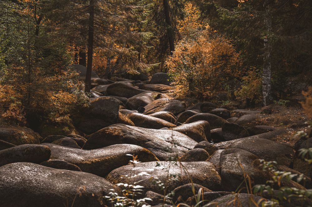 Photograph by Ольга Ильина