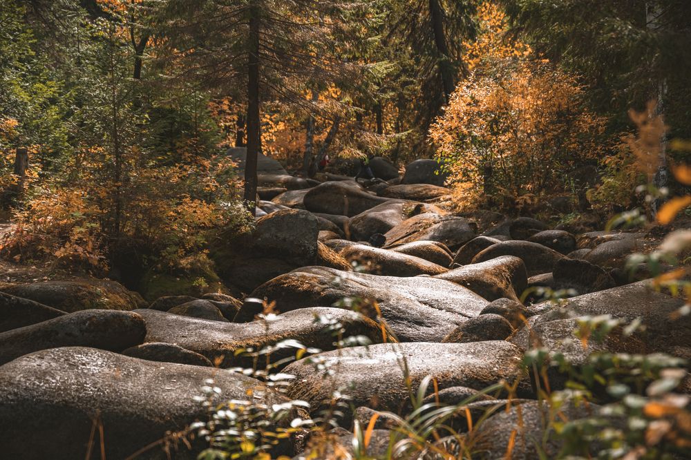 Photograph by Ольга Ильина