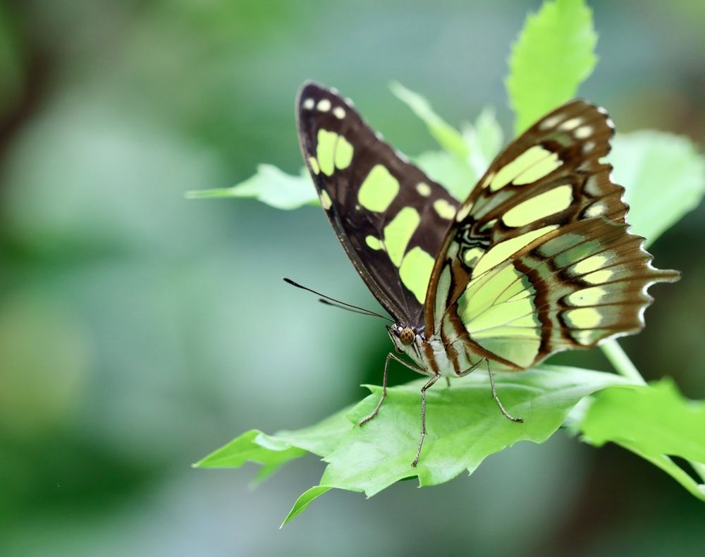 Photograph by Малика Маткарим