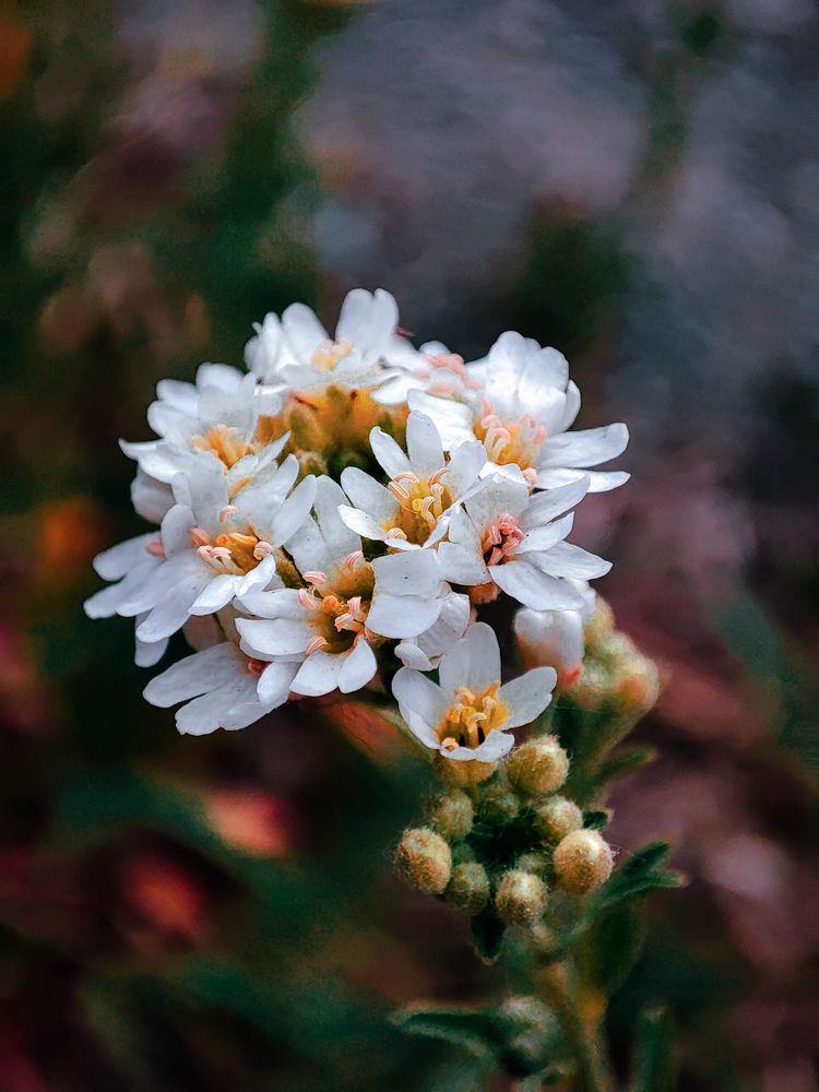 Photograph by Андрей Ващенко