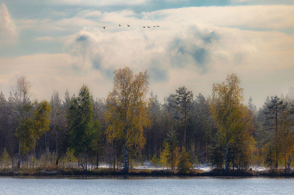 Photograph by Алексей Егорычев