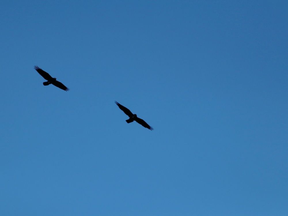 Photograph by Андрей Хитрун