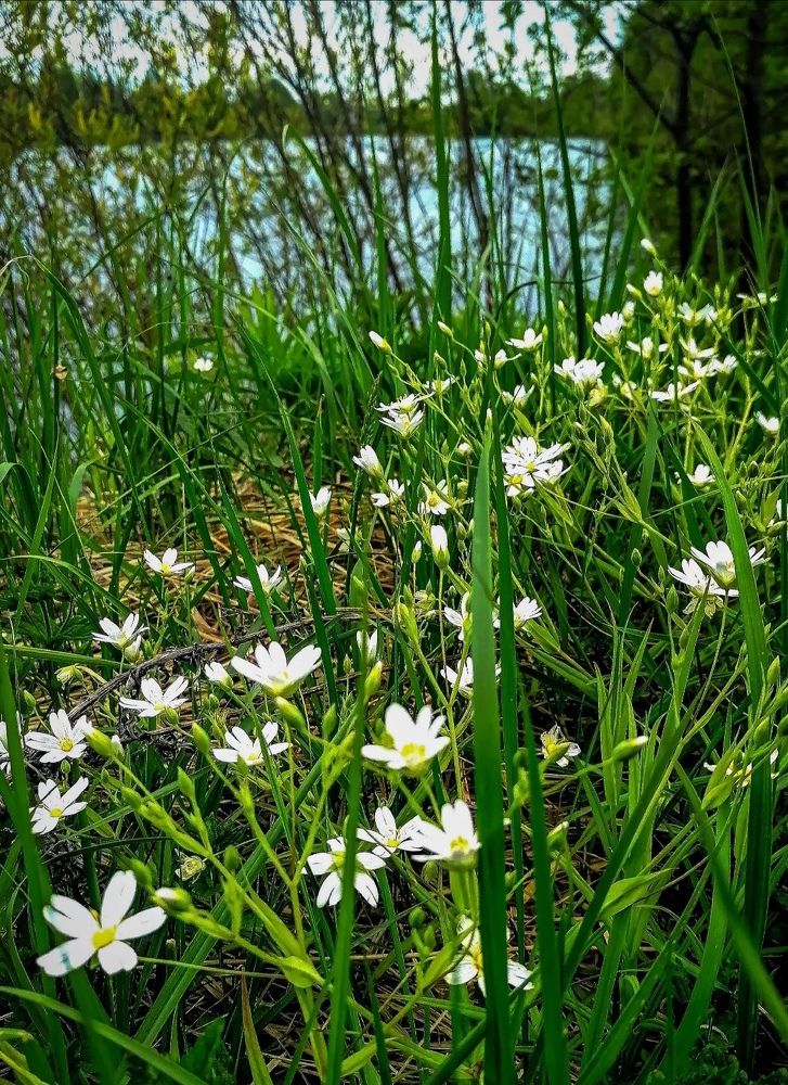 Фотография автора Татьяна Александровна Терехова