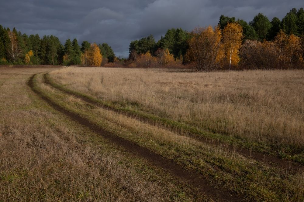 Photograph by Елена Хорохорина