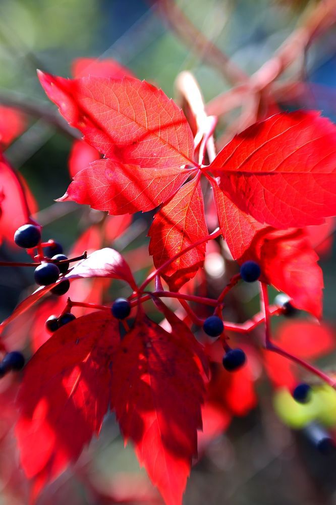 Photograph by Юрий Варюхин