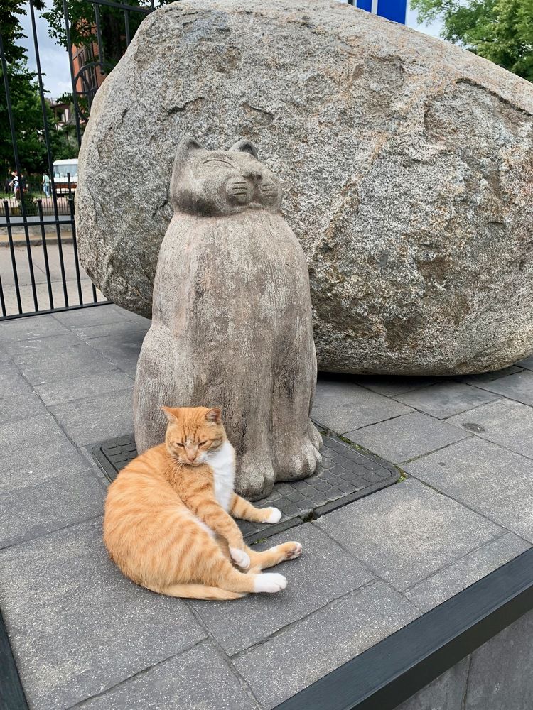 Photograph by Irina Andrienko