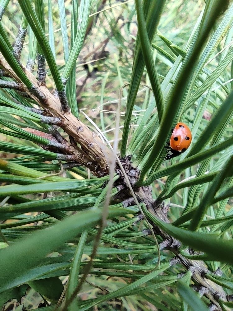 Photograph by Иван