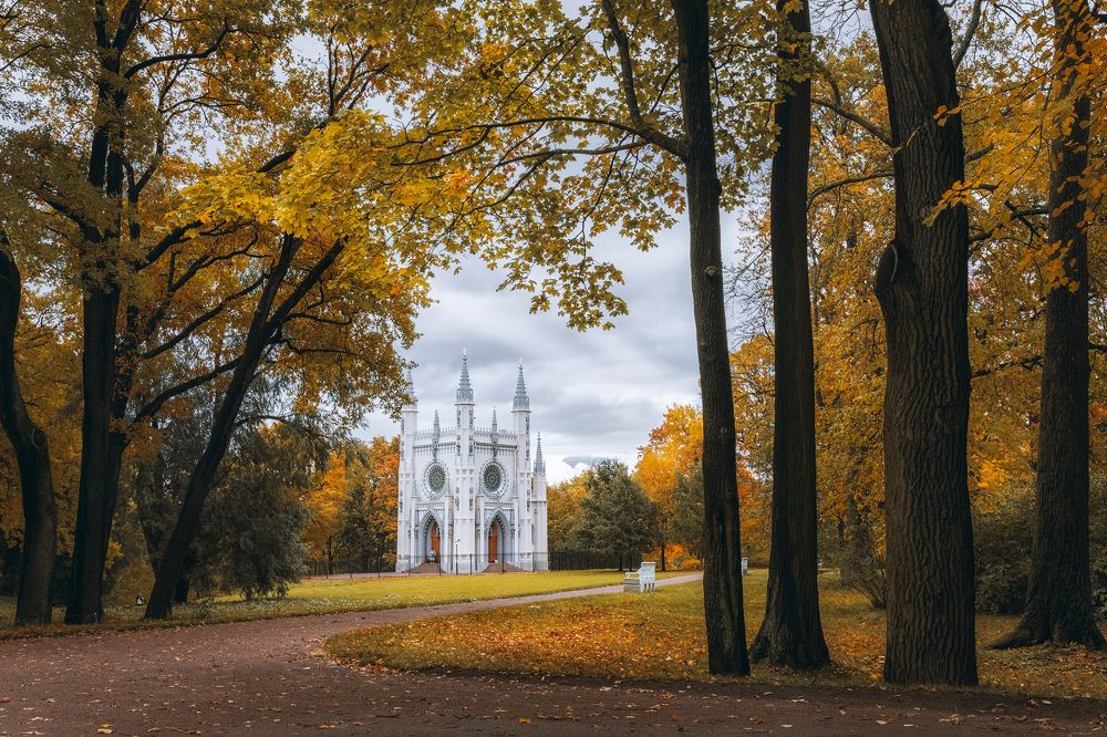 Фотография автора Майя Афзаал