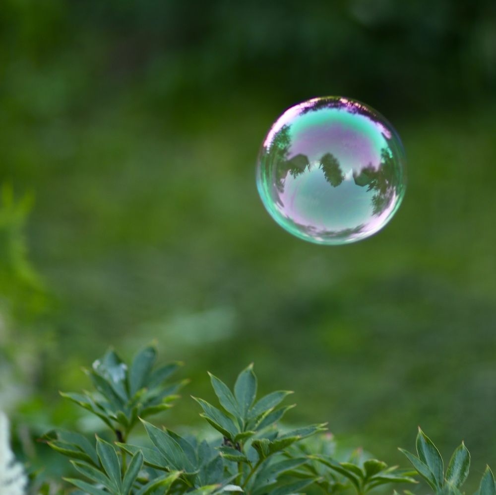 Photograph by Елена Одынец