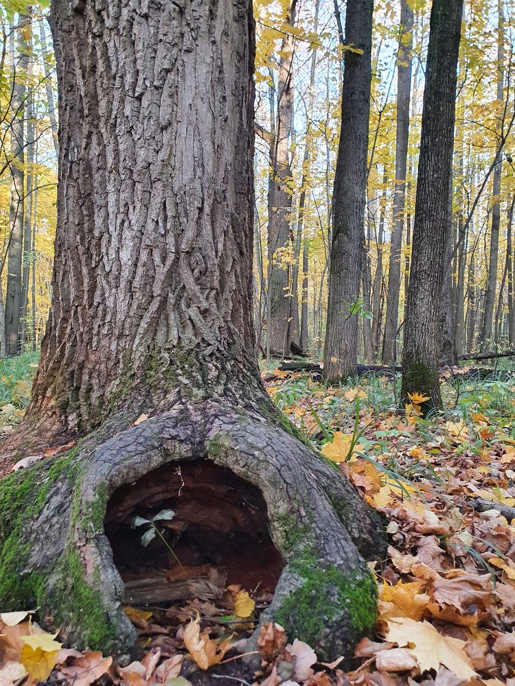 Photograph by Айгуль Кубиева