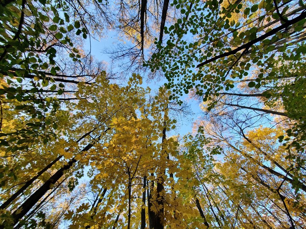 Photograph by Айгуль Кубиева