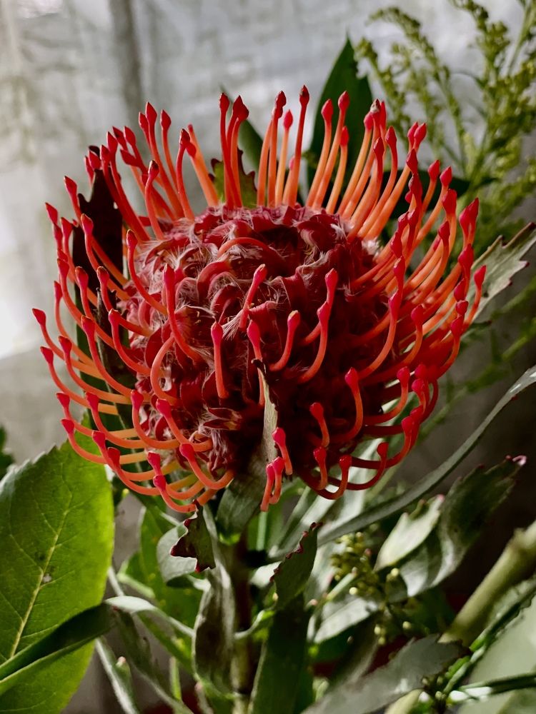 Фотография автора kozheka