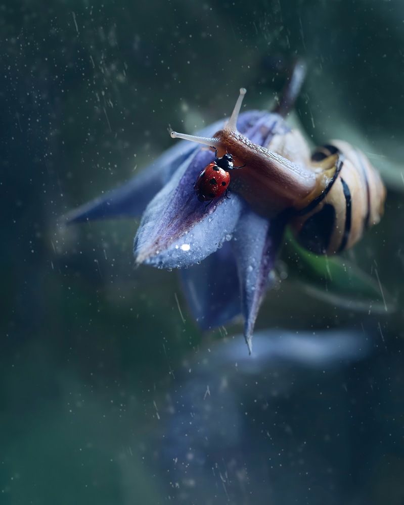 Photograph by  Ксения