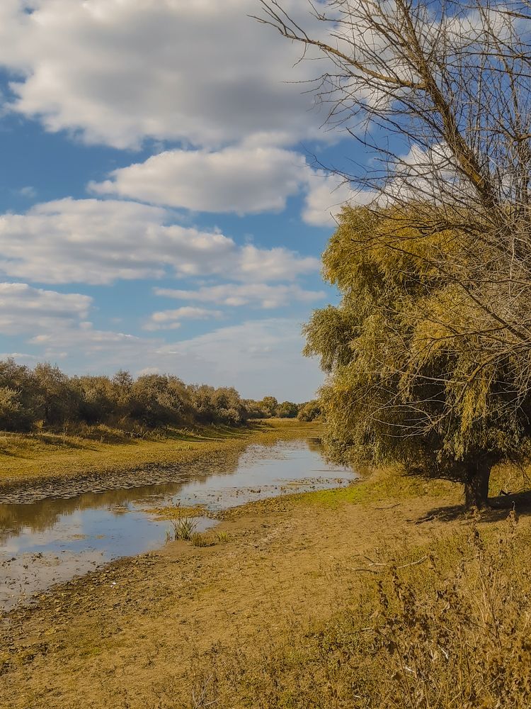 Photograph by Марина Шаповаленко