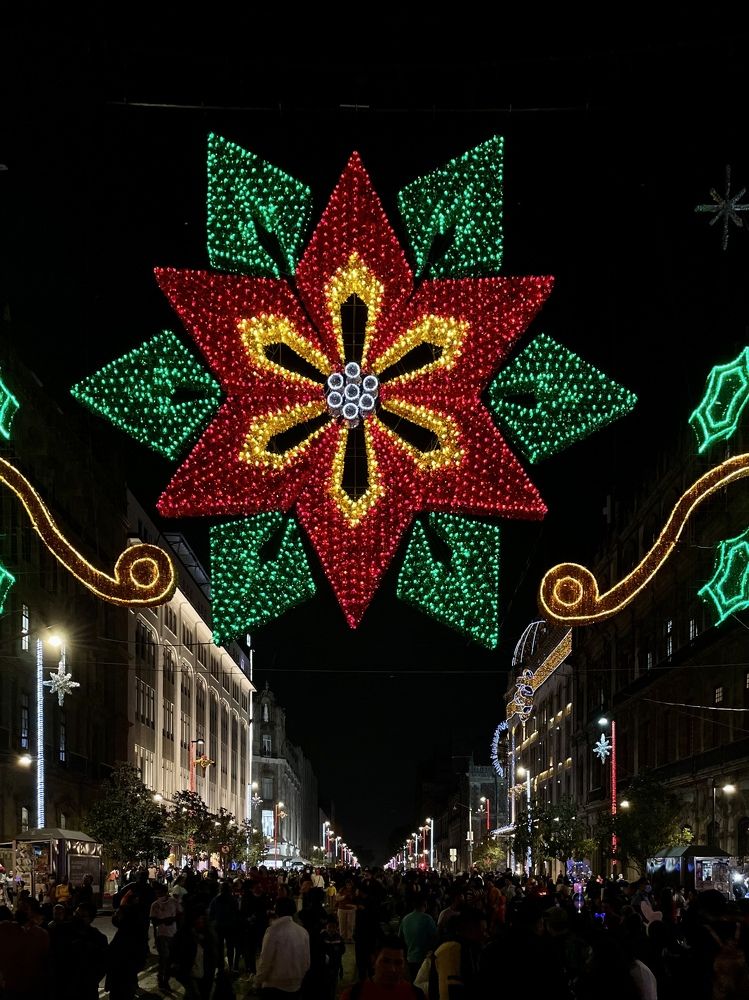 Фотография автора kozheka