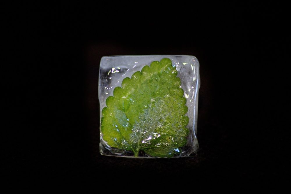 Photograph by Сергей Симаков