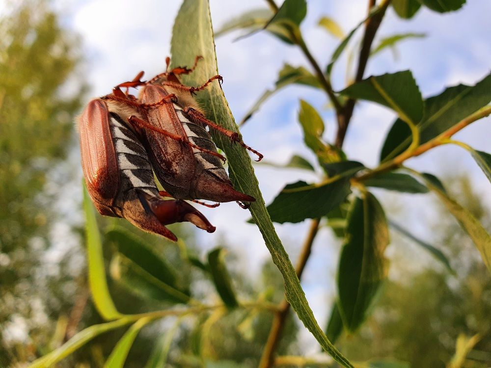 Photograph by Volkova Nataliia