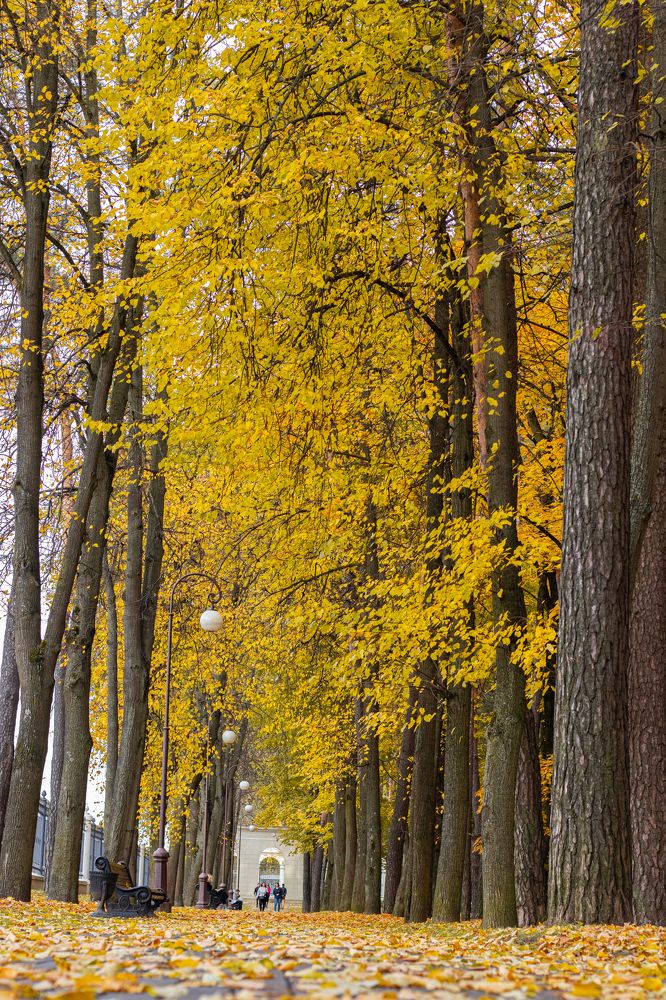 Photograph by Влад Барышов