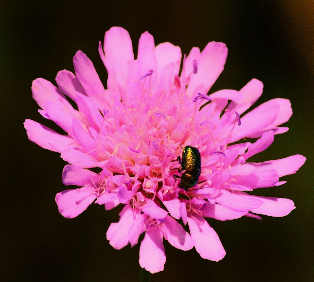 Photograph by Сергей Симаков