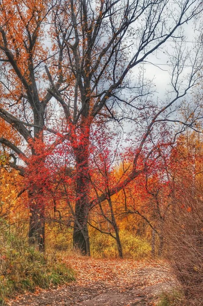 Осенний градиент.
