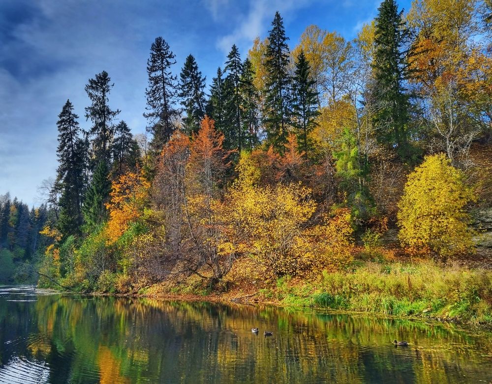 Photograph by Юлия Алексейчикова