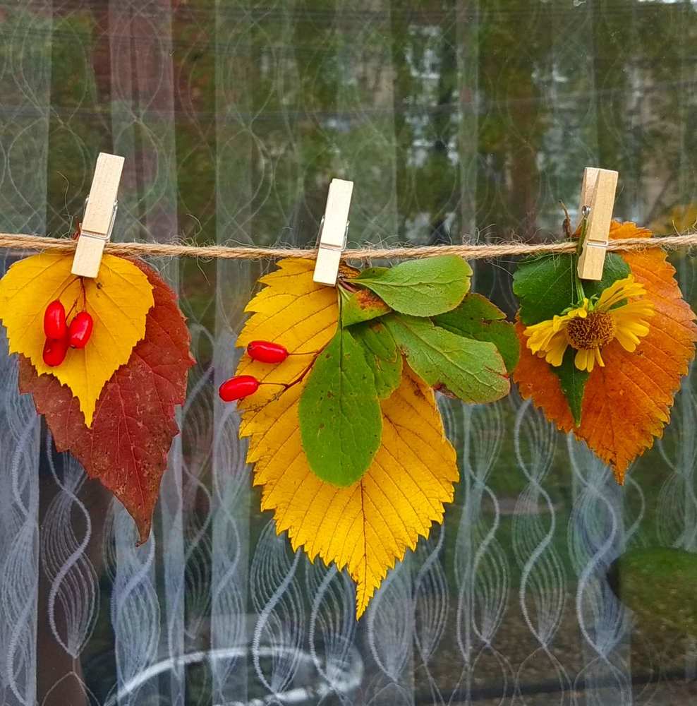 Фотография автора Галина