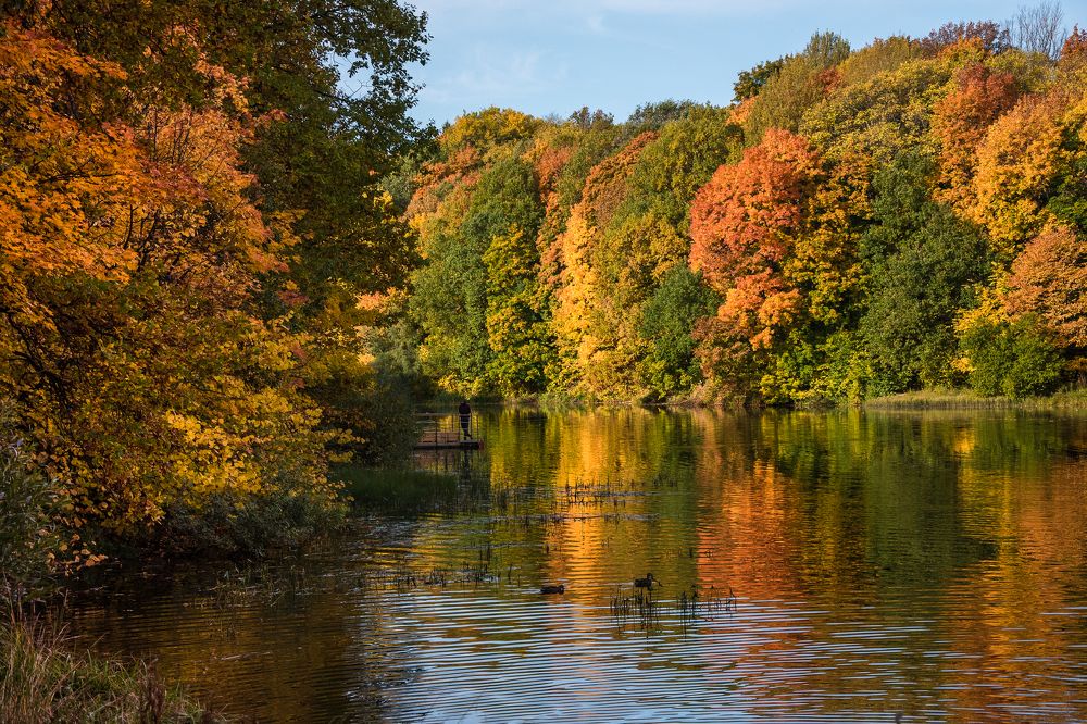 Photograph by Александрова Ольга