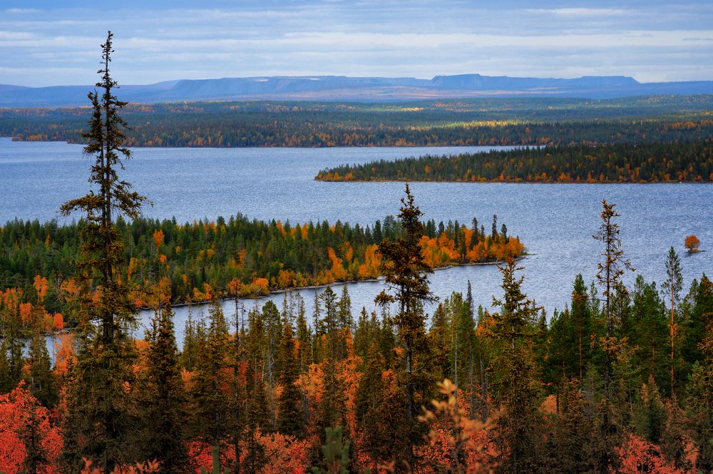 Photograph by Геннадий Субач