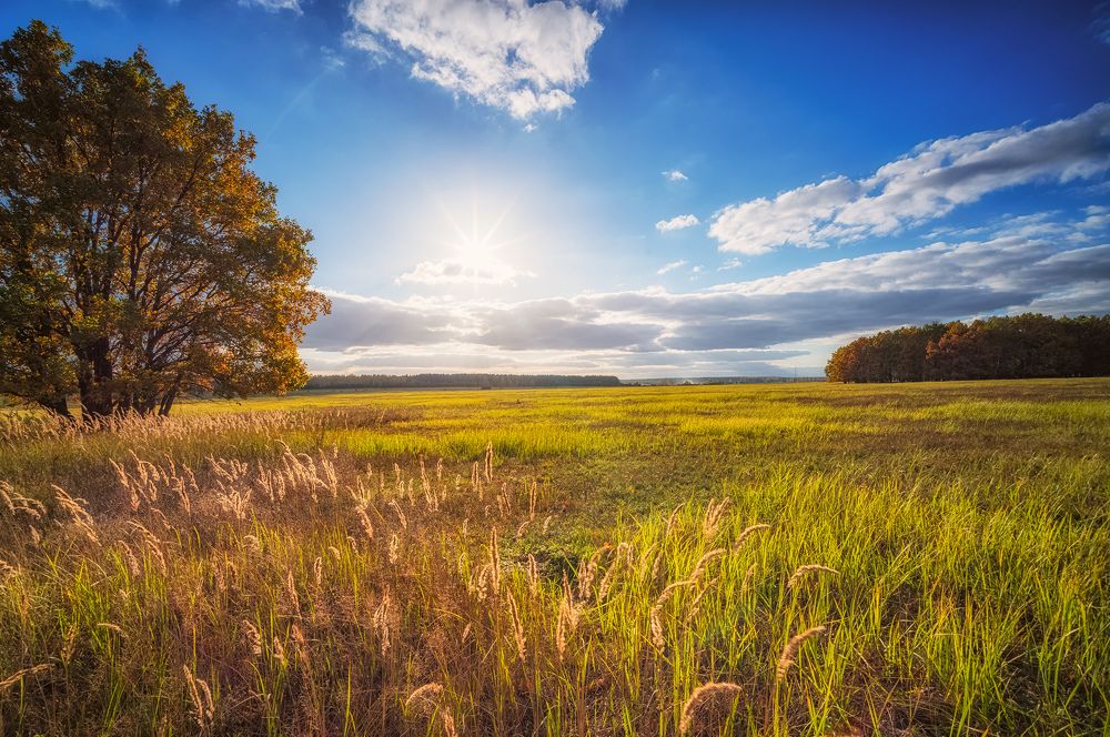Photograph by Сергей Лазарев