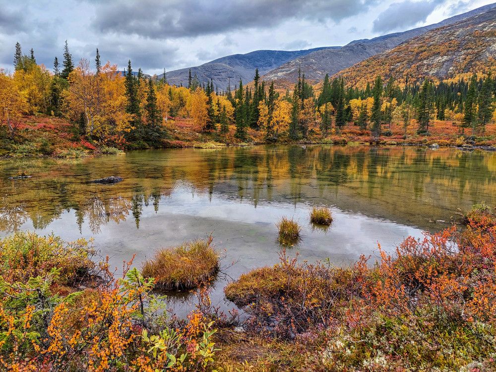 Photograph by Владимир Брагилевский