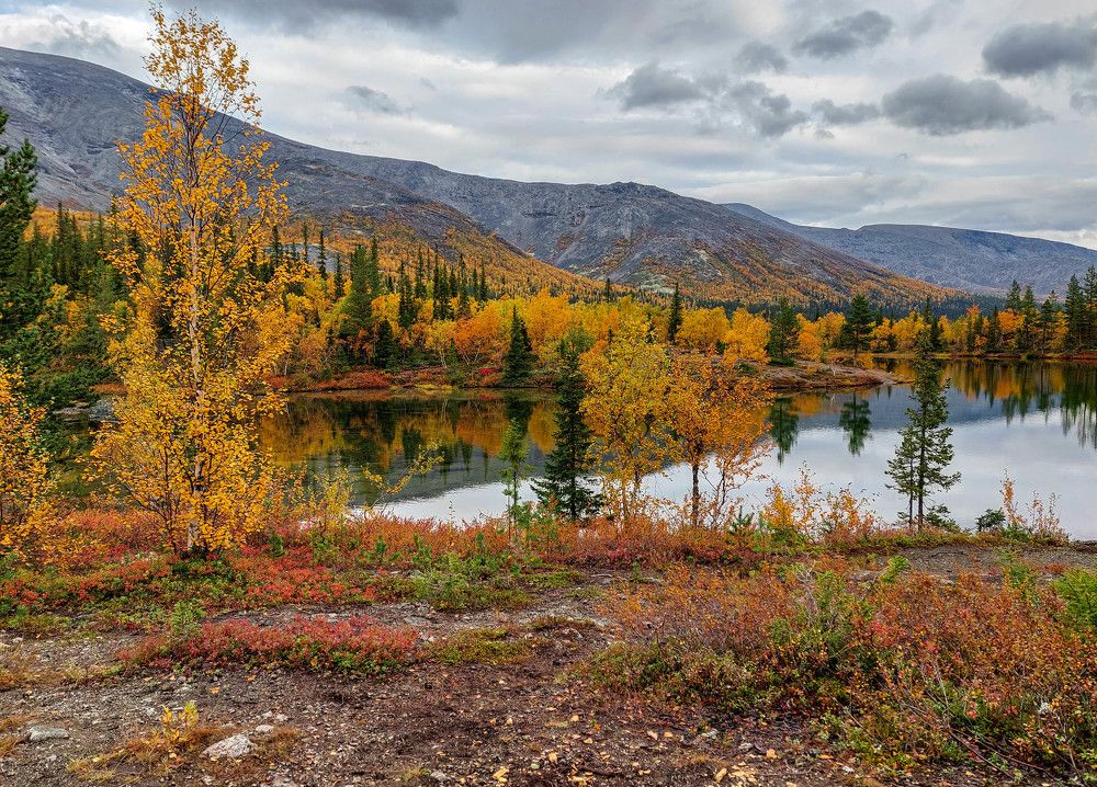 Photograph by Владимир Брагилевский