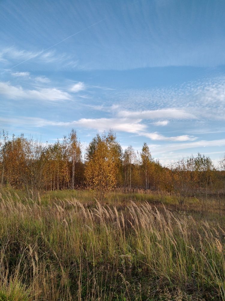 Photograph by Наталья