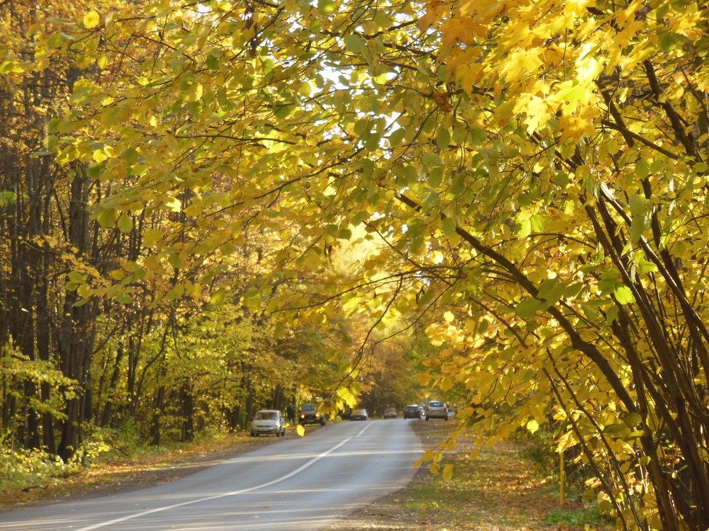 Photograph by Светлана Батурова