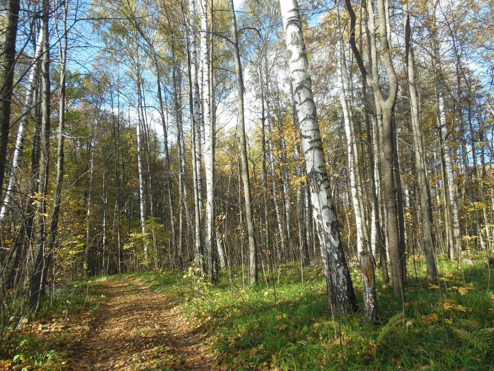 Photograph by Светлана Батурова