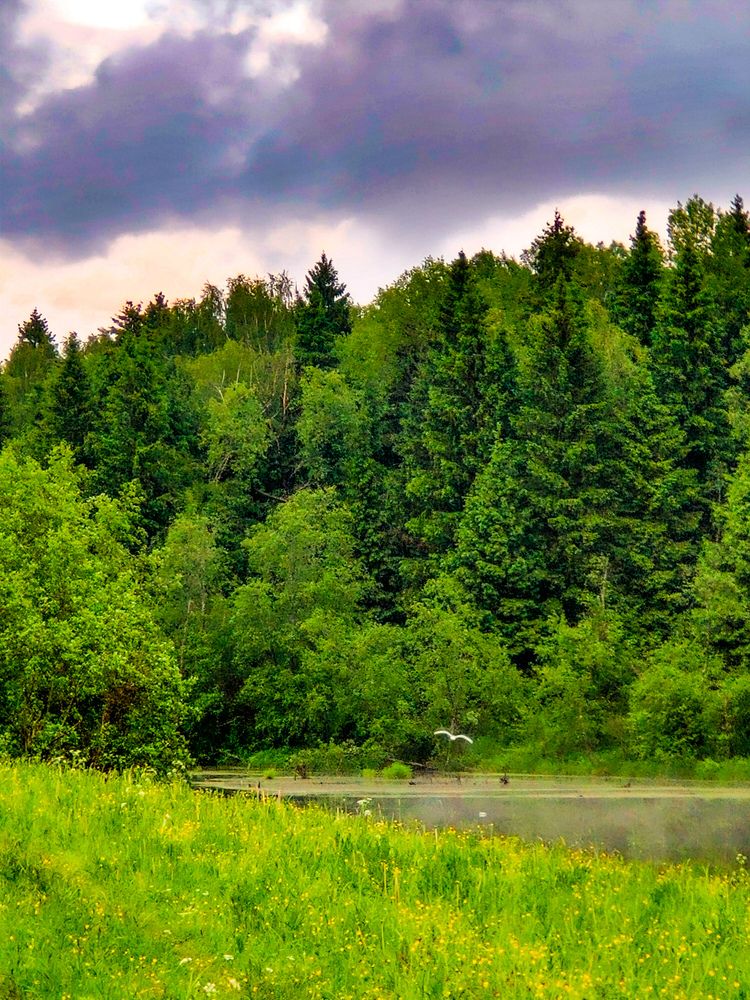 Photo #8153267
