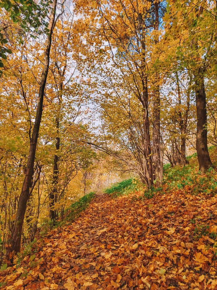 Фотография автора Наталья Королева