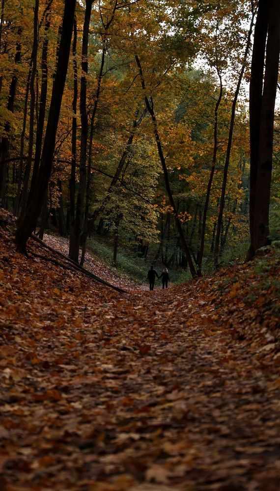 Photograph by Просолович Наталия Евгеньевна