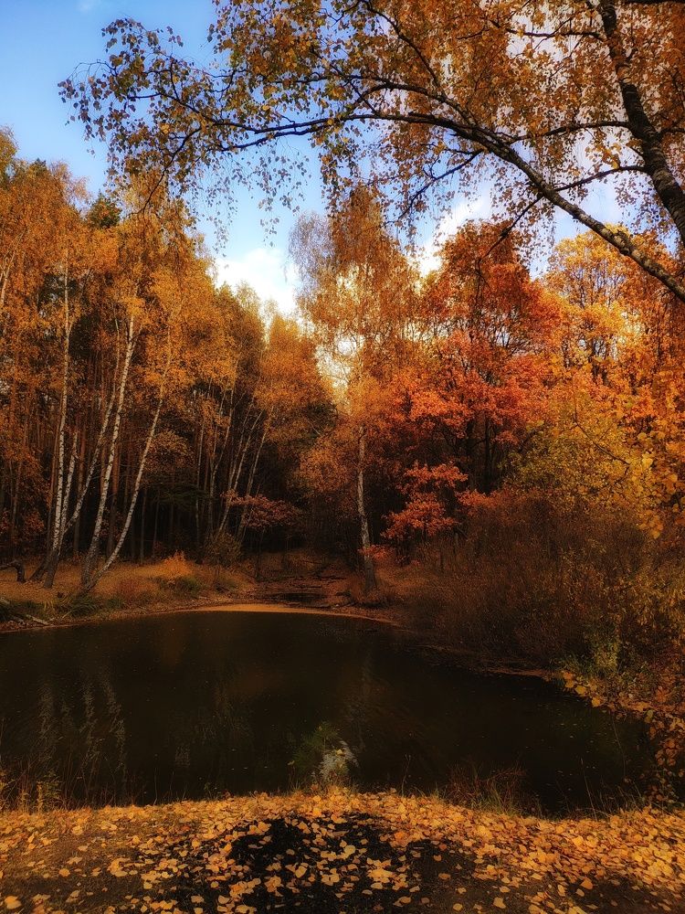 Photograph by Анна Корнейко