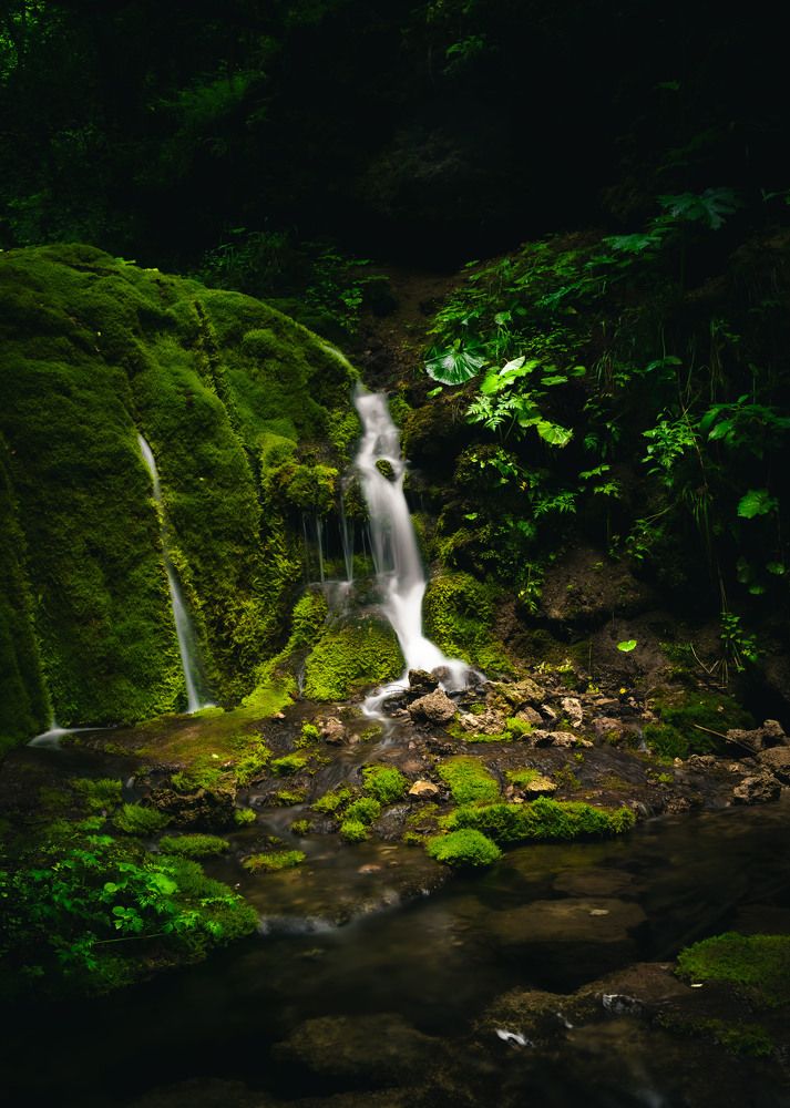 Фотография автора Alim Kakanaev