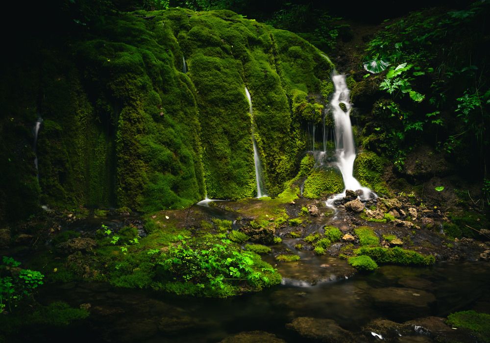 Фотография автора Alim Kakanaev