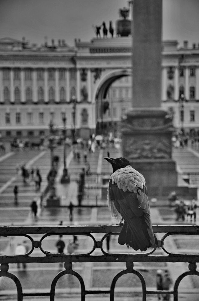 Наблюдатель