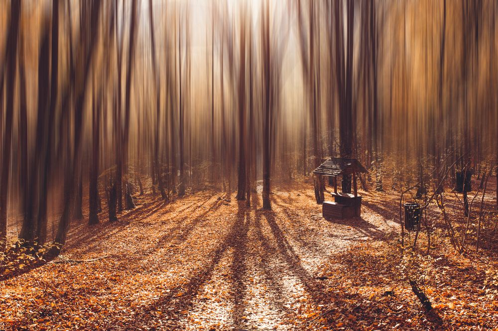 Photograph by Денис Будняк