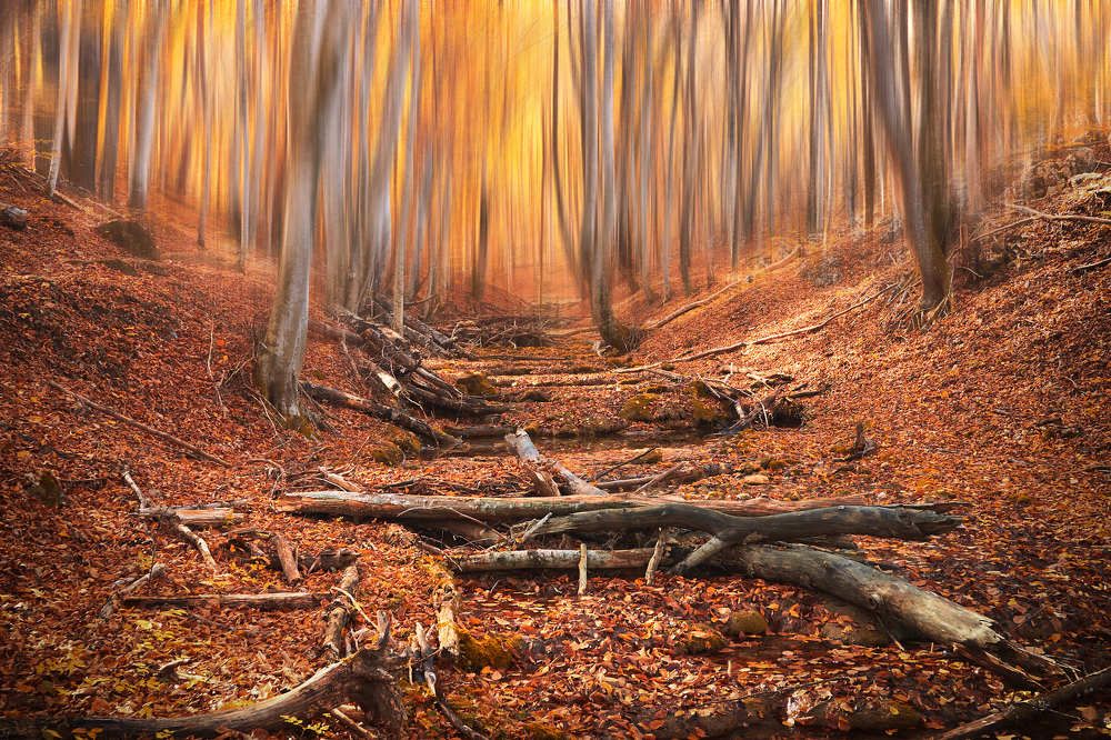 Photograph by Денис Будняк