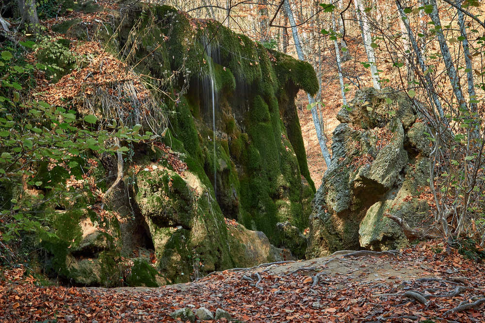 Photograph by Денис Будняк